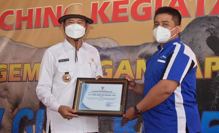 Tingkatkan Produksi Daging, Bupati Yuhronur Launching Pengembangan Sapi Belgian Blue di Lamongan