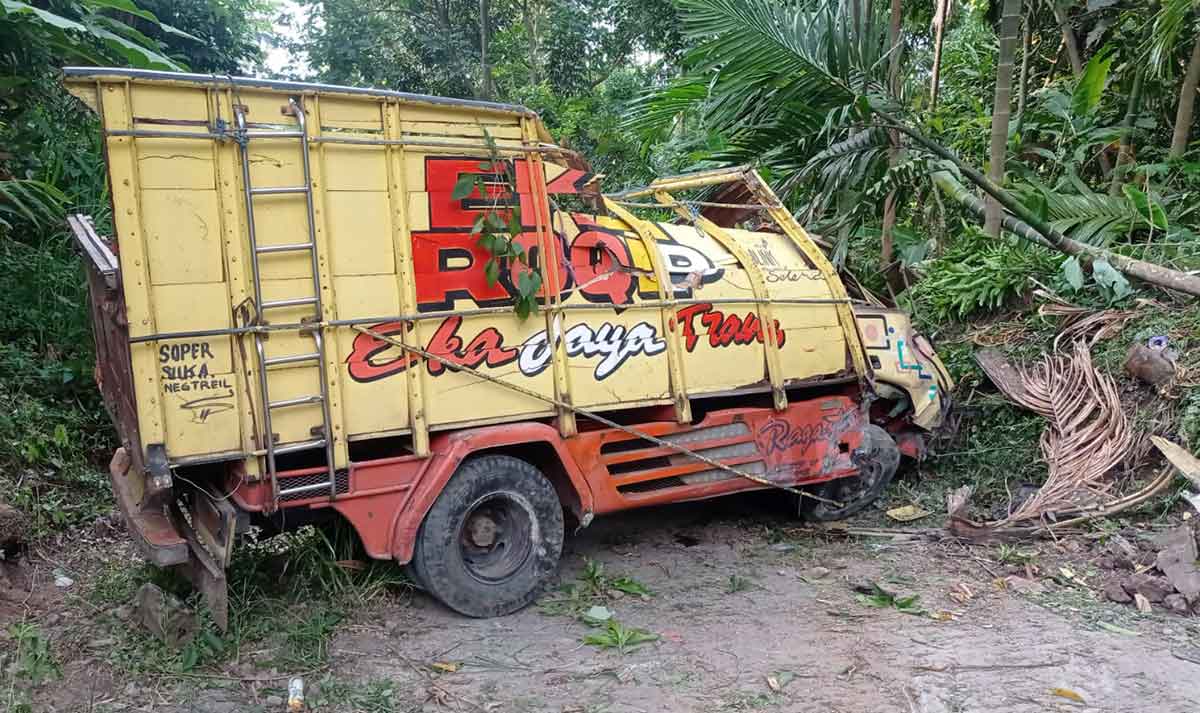 Truk Bak Terbuka Terguling Di Gading Probolinggo, 25 Orang Jadi Korban ...