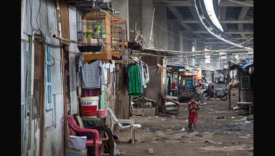 Usai Kalijodo, Besok Giliran Bangunan Liar di Kolong Tol Pluit yang Dibongkar 