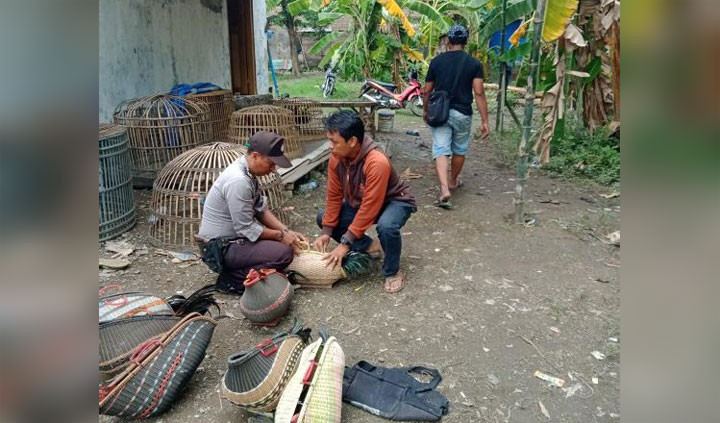 Petugas mengamankan barang bukti sejumlah ayam jago saat penggerebekan lokasi sabung ayam di Krian.