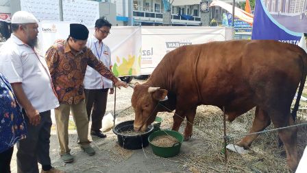 
Wakil Ketua PWM Jatim H Sulthon Amien didampingi Ketua Lazismu Jatim, drh Zainul Muslimin melihat sapi kurban 1 ton, di halaman kantor PDM Sidoarjo, Rabu (30/8). foto:mustain/BANGSAONLINE