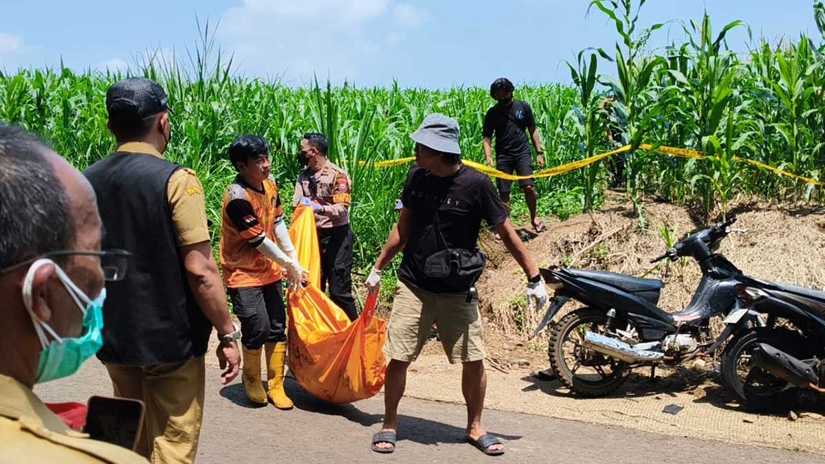 Evakuasi jasad dari ladang jagung di Jombang.