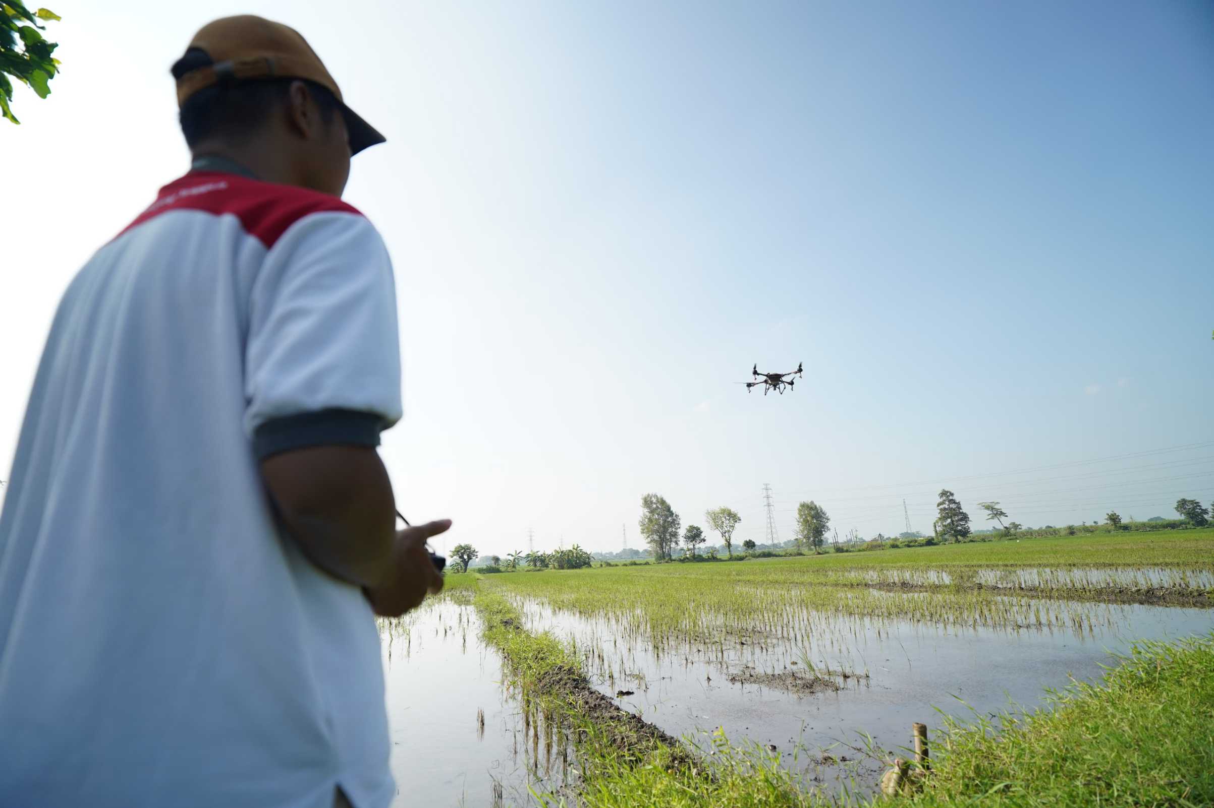 Proses penyemprotan pupuk mikro dengan drone