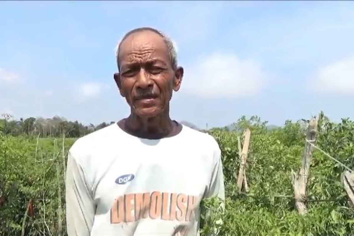 Petani cabai, Sutimin saat ditemui.