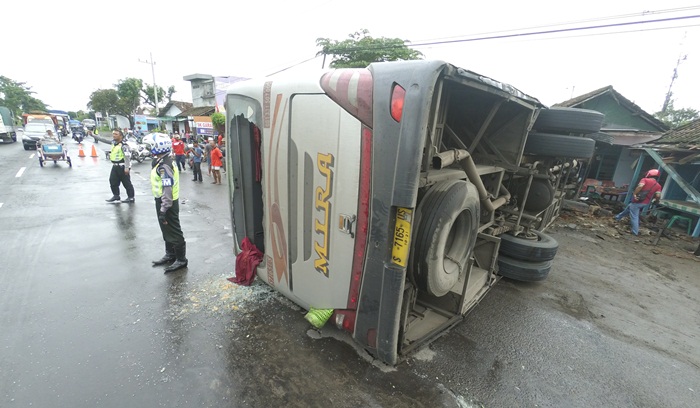Bus Mira terbalik saat menghindari pengendara sepeda motor. Foto: RONY S/BANGSAONLINE