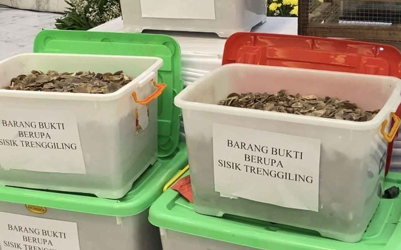 Barang bukti sisik trenggiling yang diamankan Polda Jatim. Foto: Ist.