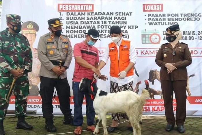 Bupati Arifin sedang menunjukkan hadiah ternak kambing bagi warganya yang mengikuti vaksinasi massal.