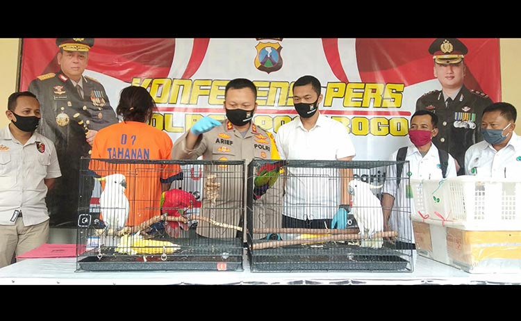 Kapolres Ponorogo, AKBP Arief Fitrianto saat menggelar jumpa pers terkait jual beli hewan yang dilindungi.
