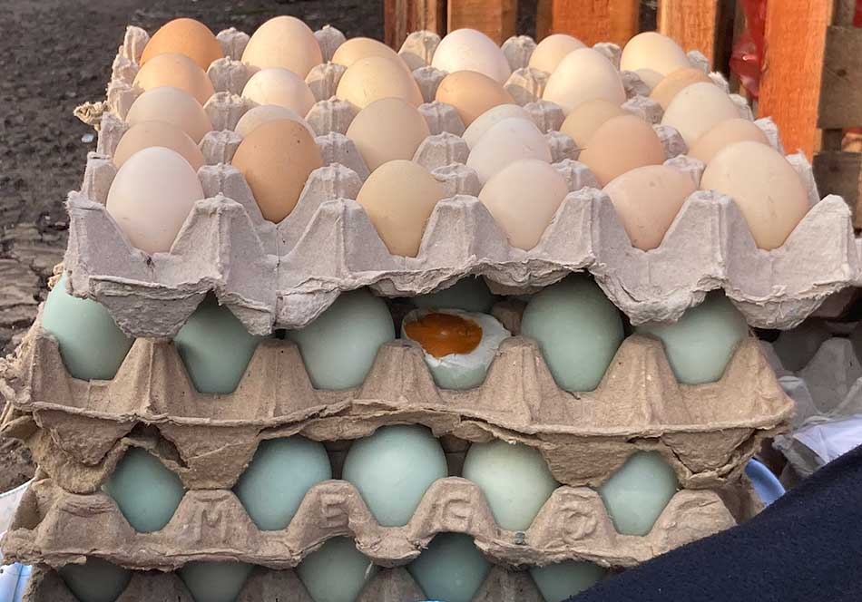Harga Sembako Jatim Hari Ini: Telur Ayam Kampung Turun, Cabai Melonjak Lagi
