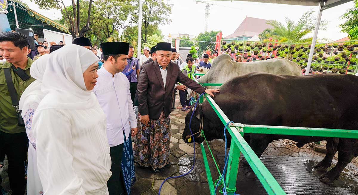 Gubernur Khofifah bersama wakilnya ketika meninjau hewan kurban yang ada di Masjid Nasional Al-Albar, Surabaya.
