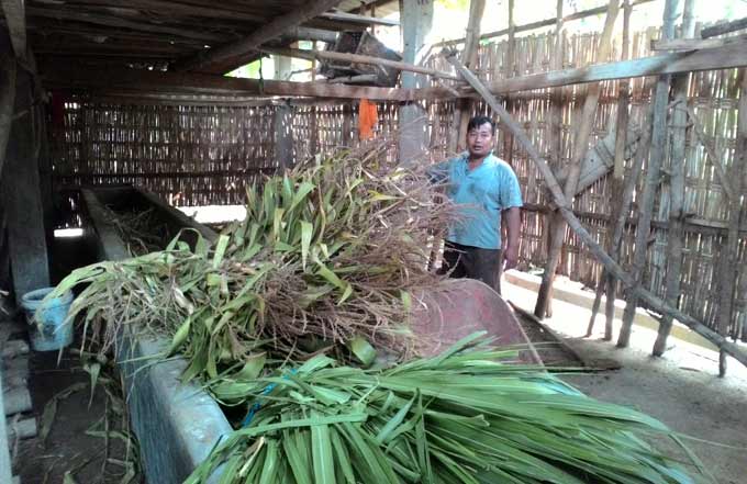 Khoirul Rozik menunjukkan kandang lokasi sapinya yang hilang. foto: ROMZA/ BANGSAONLINE