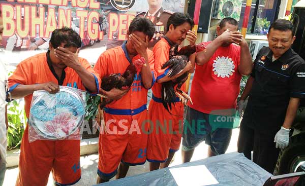 Ketiga tersangka sabung ayam bersama Kasubag Humas polres Tanjung Perak. foto: ekoyono/ BANGSAONLINE
