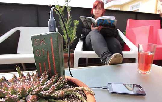 Sambil duduk santai dan baca koran, bisa ngecas ponsel lewat tanaman kaktus.... cukup satu setengah jam lho.... Selamat tinggal power bank... foto: repro daily.co.uk