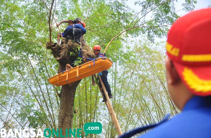 Prosesi penyelamatan penebang pohon yang tersangkut.