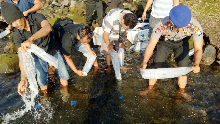 Ribuan ekor benur Lobster asal Lombok dilepas lagi ke habitatnya