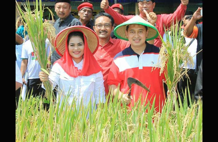 Petani Nganjuk Doakan Suara Gus Ipul-Puti Banyak Seperti Padi
