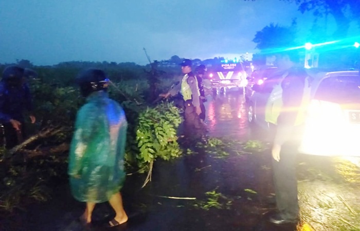 Polisi bersama warga Krembung bahu membahu membersihkan jalan dari pohon tumbang.