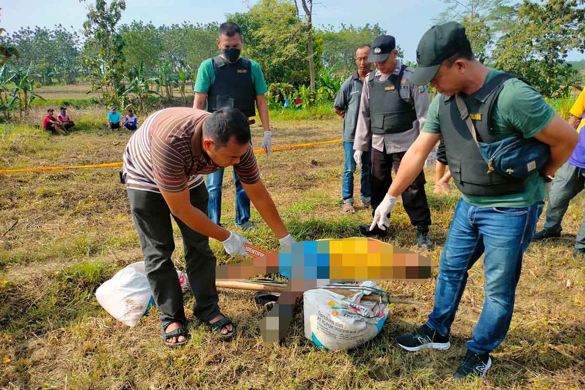 Korban bernama Sumiran (55) ditemukan meninggal dunia di tengah sawah, Minggu (26/3/2023)