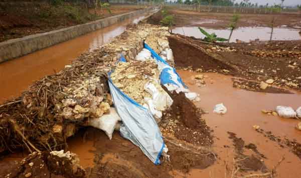 BARU SEBULAN: Tanggul di Desa Karanglo Tuban yang jebol. foto: suwandi/ BANGSAONLINE