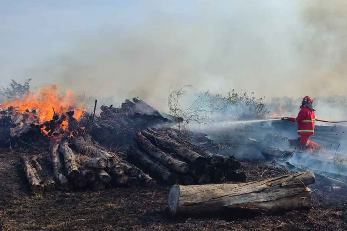 Tim damkar gabungan yang melakukan pemadaman api di kilang minyak di Desa Sumurgeneng, Kecamatan Jenu, Tuban.