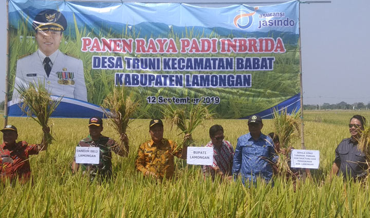Bupati Fadeli didampingi Kepala DTPH Lamongan Rujito saat panen raya.