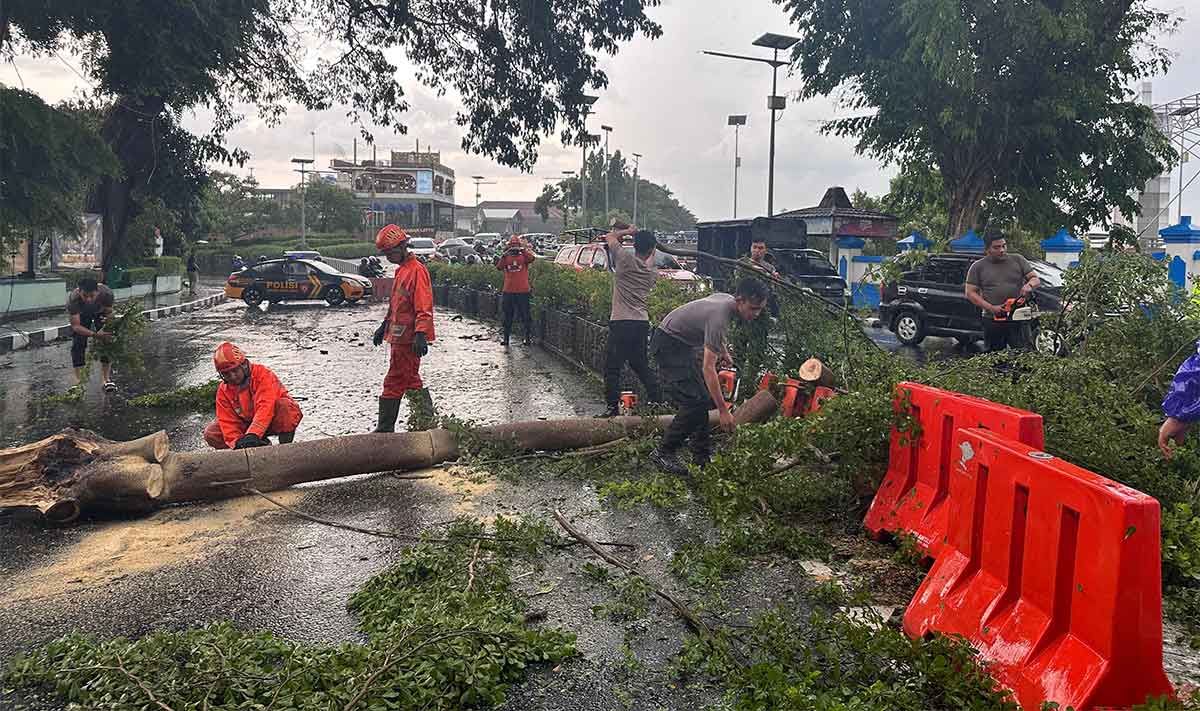 Petugas gabungan saat membersihkan pohon tumbang di tengah jalan. Foto: Ist