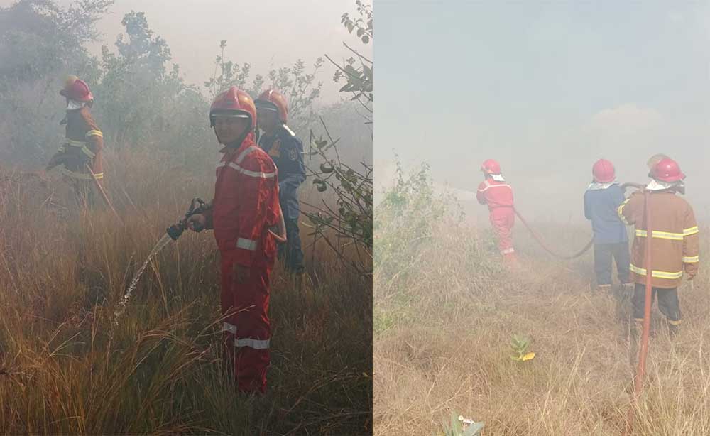 Lahan Kilang Tuban GRR Kembali Terbakar, Ini Penyebabnya