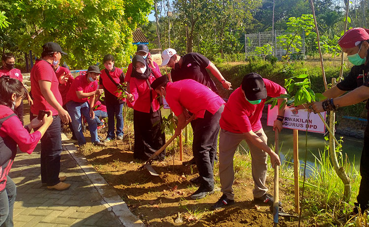 Gerakan tanam pohon oleh jajaran DPC PDIP Trenggalek di aliran Sungai Dam Bagong. (foto: HERMAN/BANGSAONLINE)