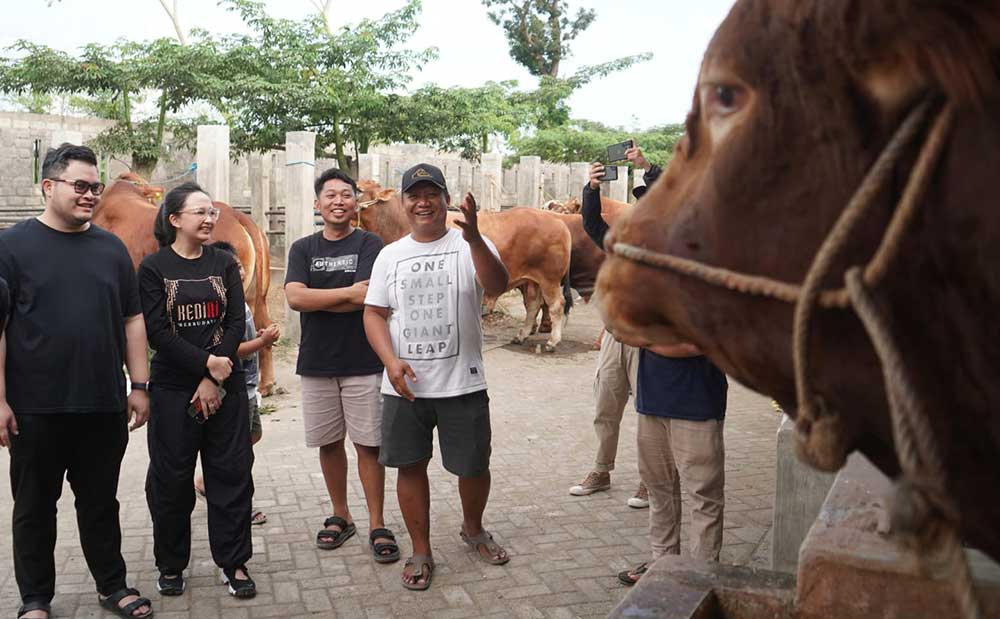 Bupati Kediri dan Istri Beli Empat Ekor Sapi Jumbo untuk Kurban