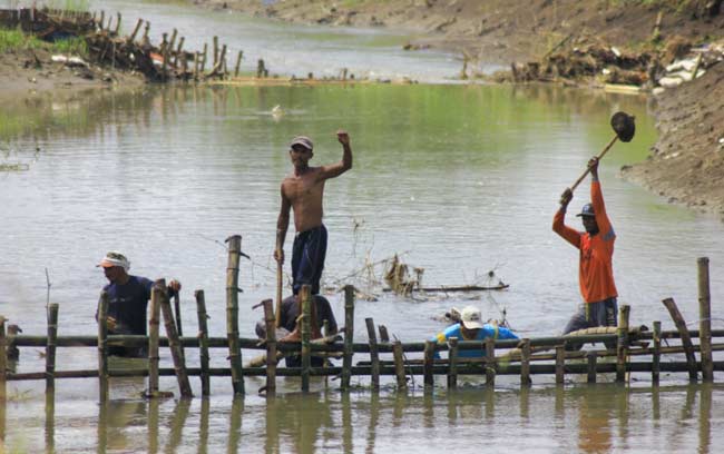 Petani yang melakukan pembendungan sungai.