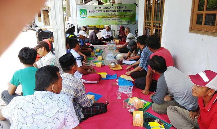 Bimtek ternak kambing moderen di Desa Nguling, Kecamatan Nguling, Kabupaten Pasuruan.