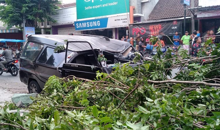 Mobil Suzuki Carry yang tertimpa pohon tampak ringsek.