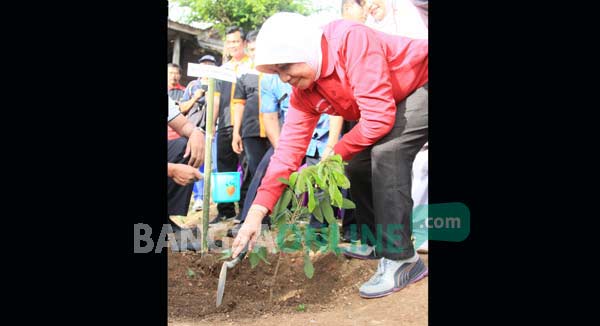 Haryanti saat menanam buah bibit unggul di kawasan wisata Air Terjun Ngleyangan Kecamatan Grogol Kabupaten Kediri. foto: arif kurniawan/ BANGSAONLINE