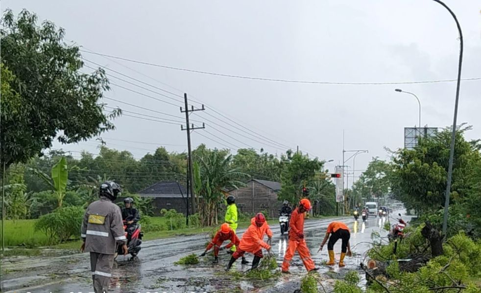  Anggota polisi bersama BPBD dan warga saat mengevakuasi pohon tumbang
