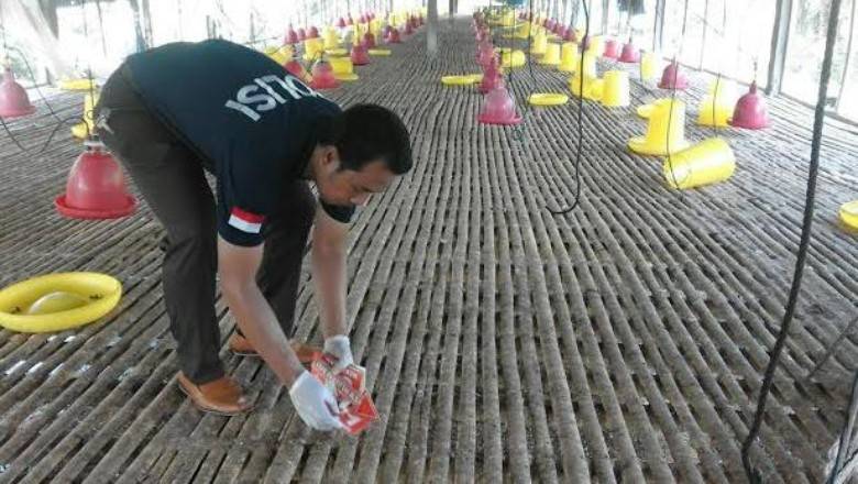 foto: detikcom