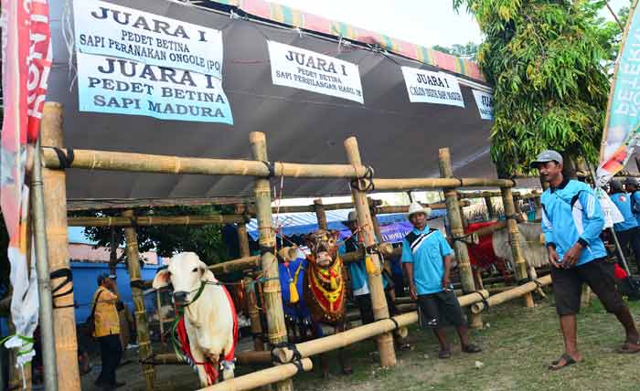 Para pemenang kontes Ternak dan Ekspo Agribisnis Peternakan Tingkat Jawa Timur di Lamongan. (foto: haris/BANGSAONLINE)