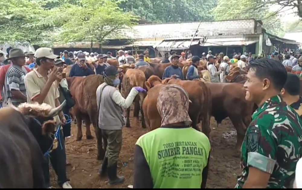 Tim dari Dinas Ketahanan Pangan, Pertanian, dan Perikanan (DKP2P) Tuban saat melakukan pengawasan di Pasar Hewan Kecamatan Kerek.