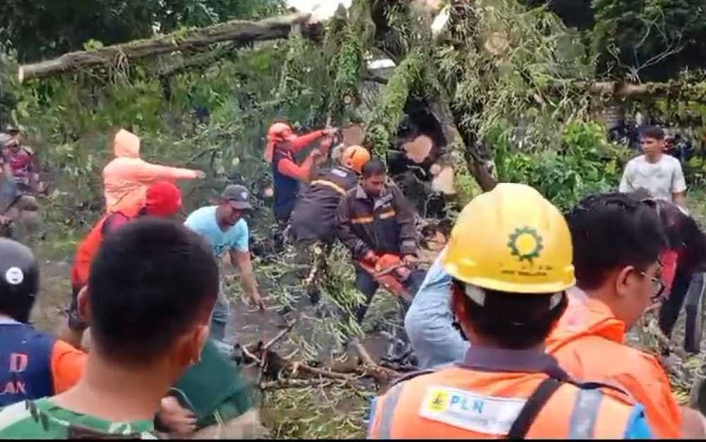 Petugas saat berupaya mengevakuasi batang pohon yang menutup badan jalan.