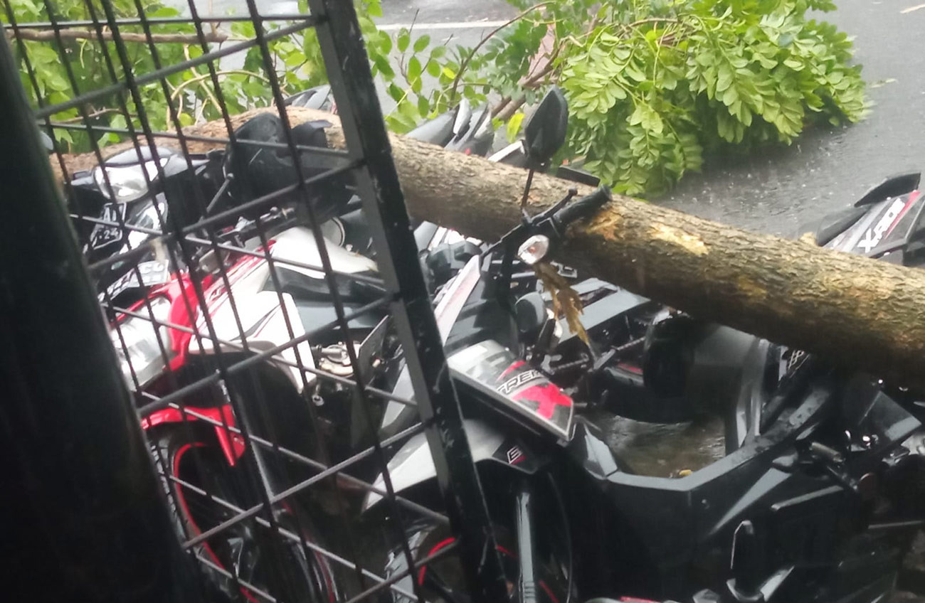 Beberapa sepeda motor yang tertimpa pohon tumbang di Jalan Panglima Polim, Kota Kediri. foto: ist.