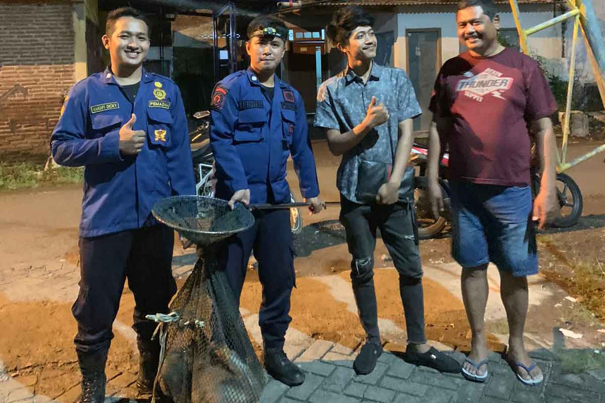 Petugas Damkar Sidoarjo bersama warga sekitar usai menangkap 2 dari lima monyet liar.