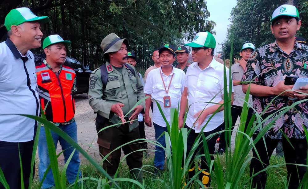 Tinjau Agroforestry Tebu Mandiri, Natalas Ungkap Peluang Pendapatan Perhutani