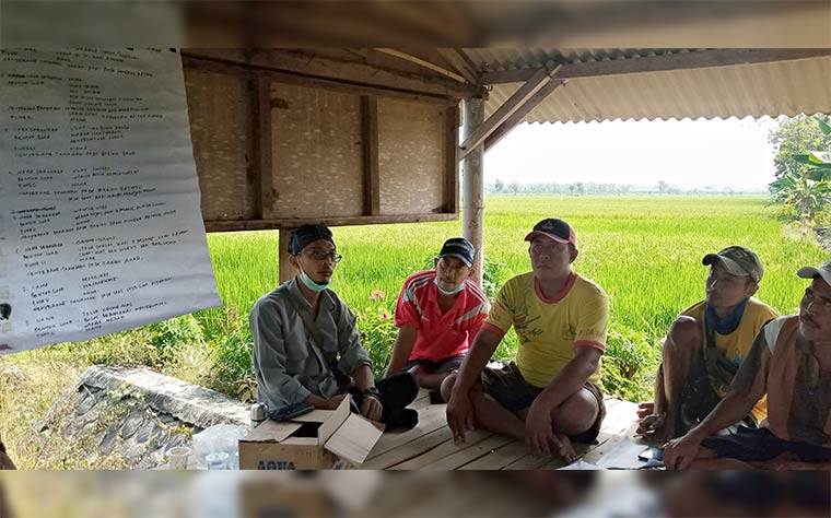 Petani saat mendapatkan sosialisasi dari Petugas Pengendali Organisme Pengganggu Tumbuhan (POPT) terkait dampak penggunaan pestisida kimia dalam praktik budi daya tanaman.
