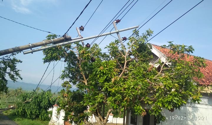 Hujan dan Angin Kencang Tumbangkan Tiang Listrik dan Pohon