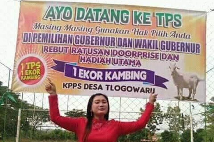 Salah satu panitia menunjukkan banner informasi pencoblosan berhadiah kambing. Foto: ist