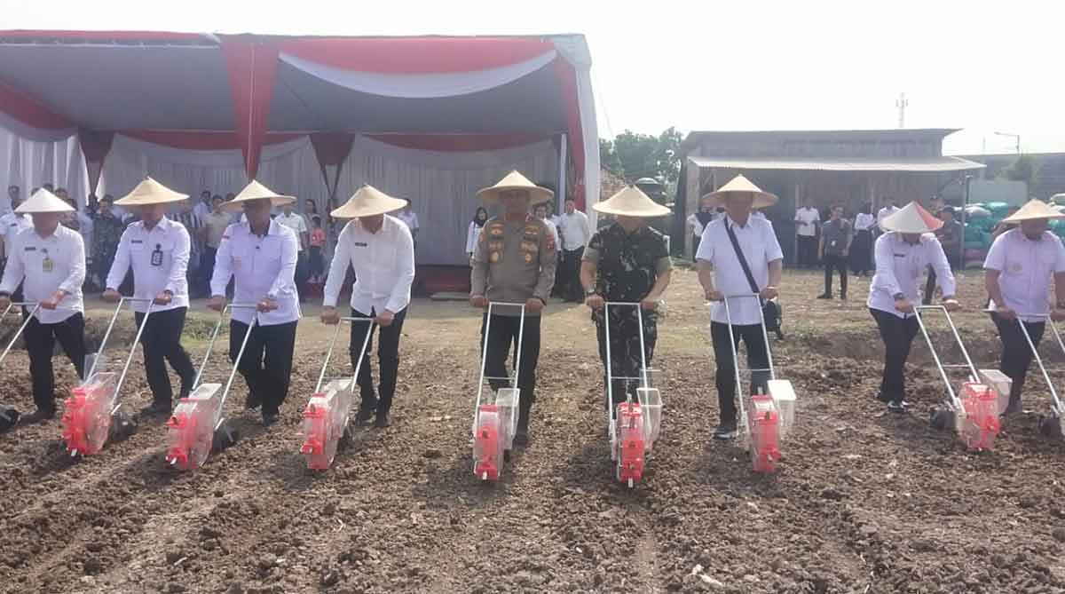Penanaman jagung secara simbolis dalam Semarak Tanam Jagung di Sidoarjo. Foto: Ist