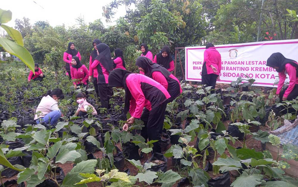 Pengurus Ranting Bhayangkari Krembung saat meninjau lahan untuk program Pekarangan Pangan Lestari (P2L) di Desa Lemujut.