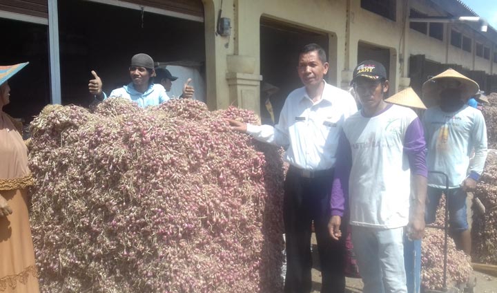 Kepala Pasar Bawang Dringu Probolinggo, Sutaman.