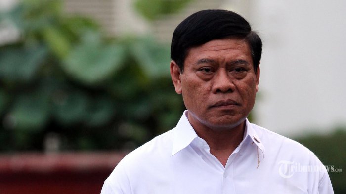Menteri Tedjo. Foto: tribunnews.com