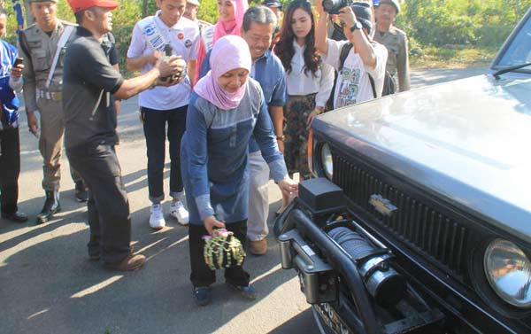 Bupati Kediri Haryanti Sutrisno saat membuka jalur kawasan wisata adventure di Kawasan Gunung Kelud. (arif kurniawan/BANGSAONLINE)