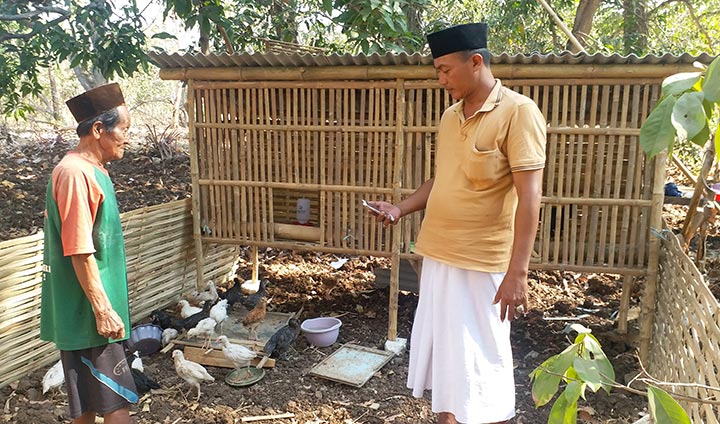 Kepala Desa Gili Timur Moh. Holil memantau langsung ke masyarakat penerima ayam joper.